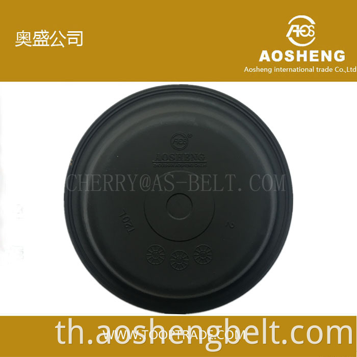 ไดอะแฟรม Aosheng T30L สำหรับรถบรรทุกเรโนลต์ที่ผลิตในประเทศจีน